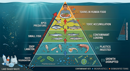 Protecting the Ocean at the Source